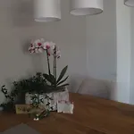 Muschel *
