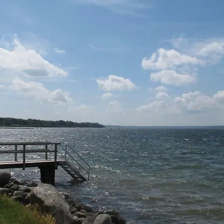 Muschel Διαμέρισμα *