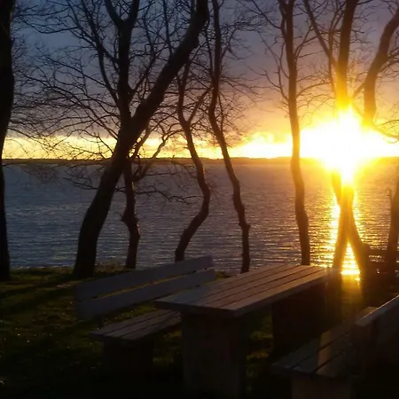 Muschel Apartamento *