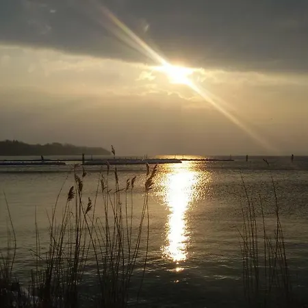 Muschel Διαμέρισμα *