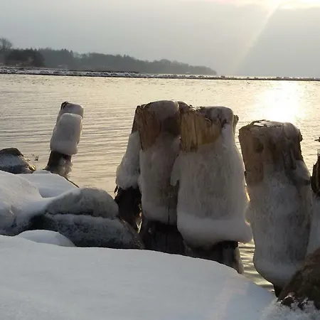 Muschel * Glücksburg