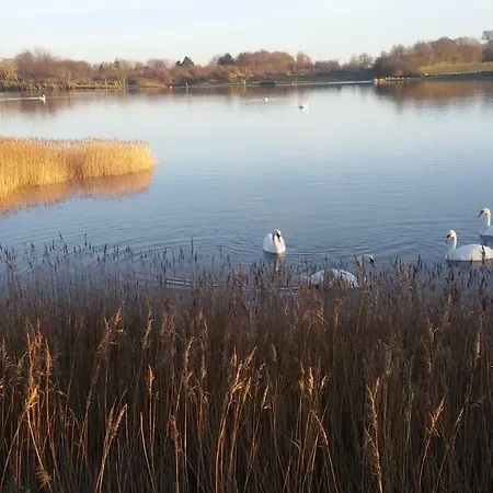 Διαμέρισμα Muschel *