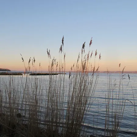 Διαμέρισμα Muschel *