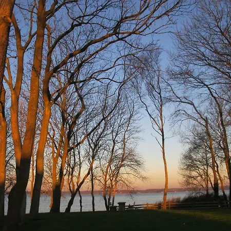 Muschel Διαμέρισμα